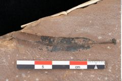 Foto (Detailsansicht) von Quercus palaeoilex Ettingshausen (NHMW-GEO-2024-0188-0762)